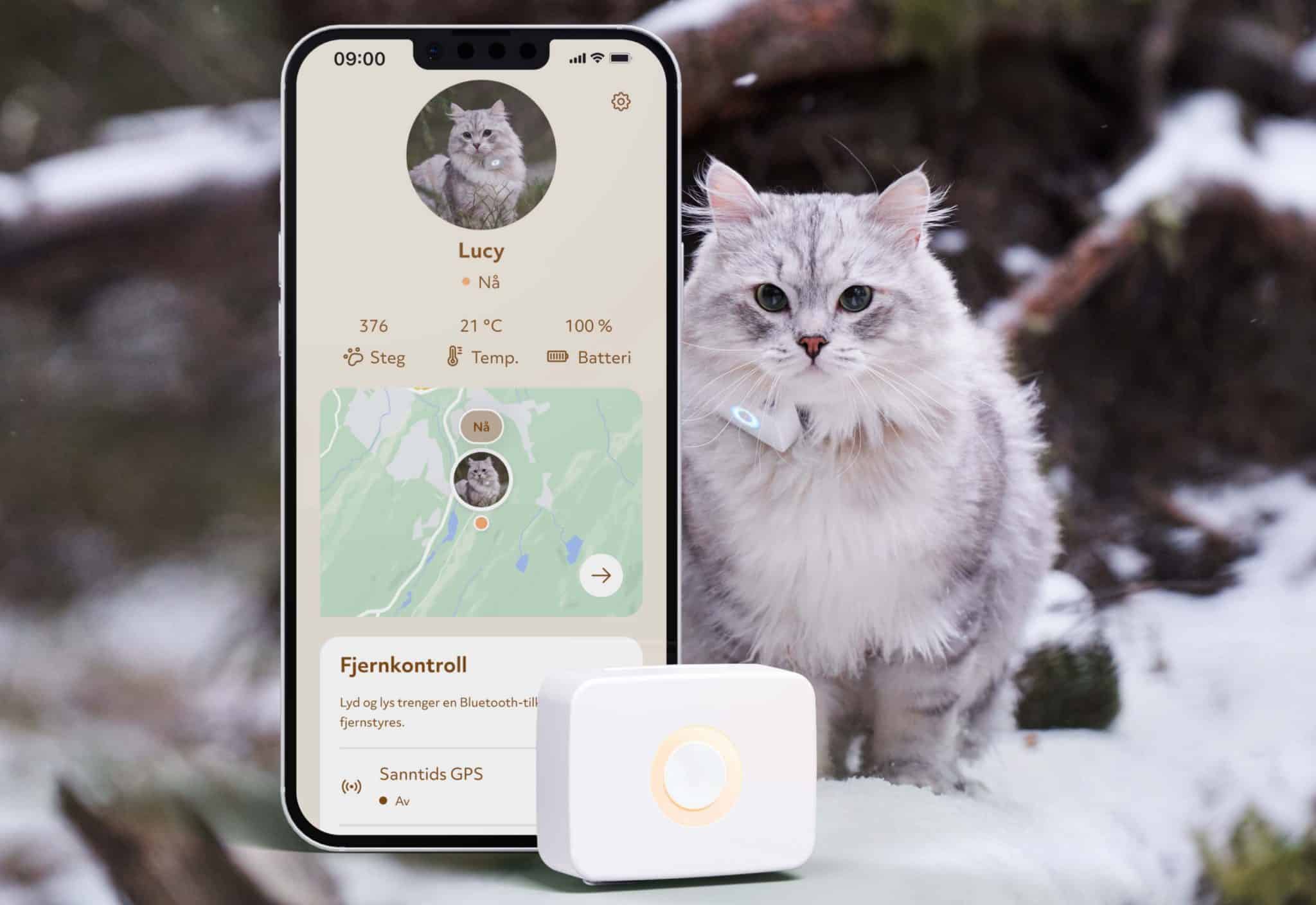 GPS Katt - verdens minste katte tracker med global rekkevidde!