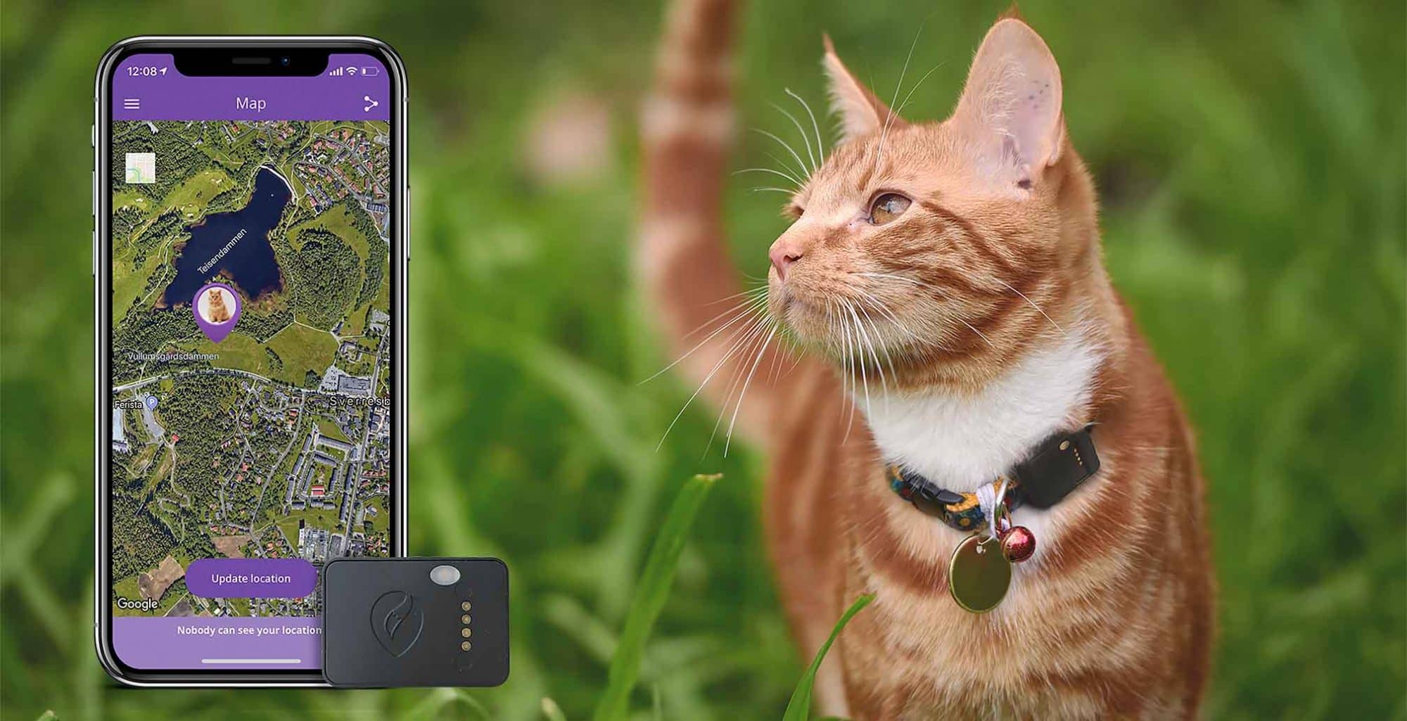 Worlds smallest GPS tracker for cats 